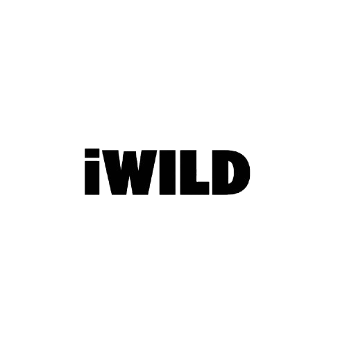 iWild Casino